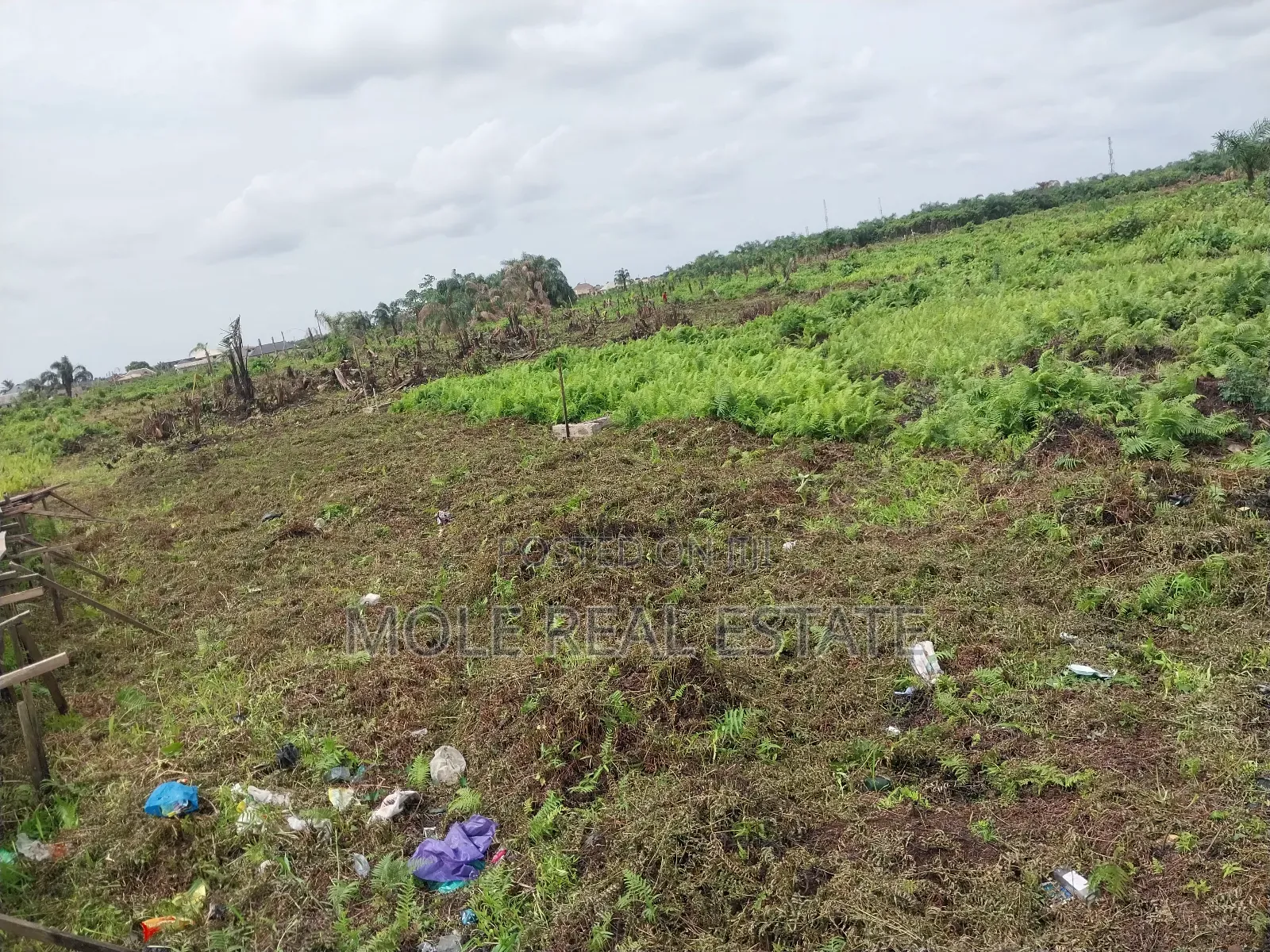 Full Plot 600sqm Very Close to Ijegun New Road in Ijegun
