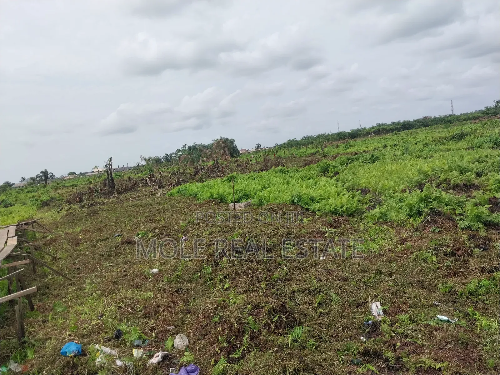 Full Plot 600sqm Very Close to Ijegun New Road in Ijegun