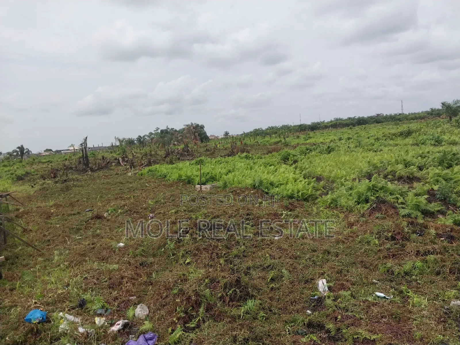 Half Plot 30ft/120ft Ijegun New Expressway in Ijegun