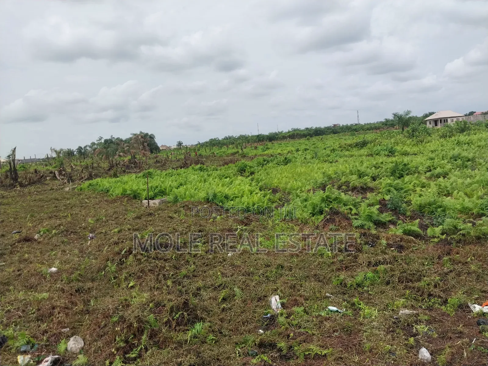 Half Plot 30ft/120ft Ijegun New Expressway in Ijegun