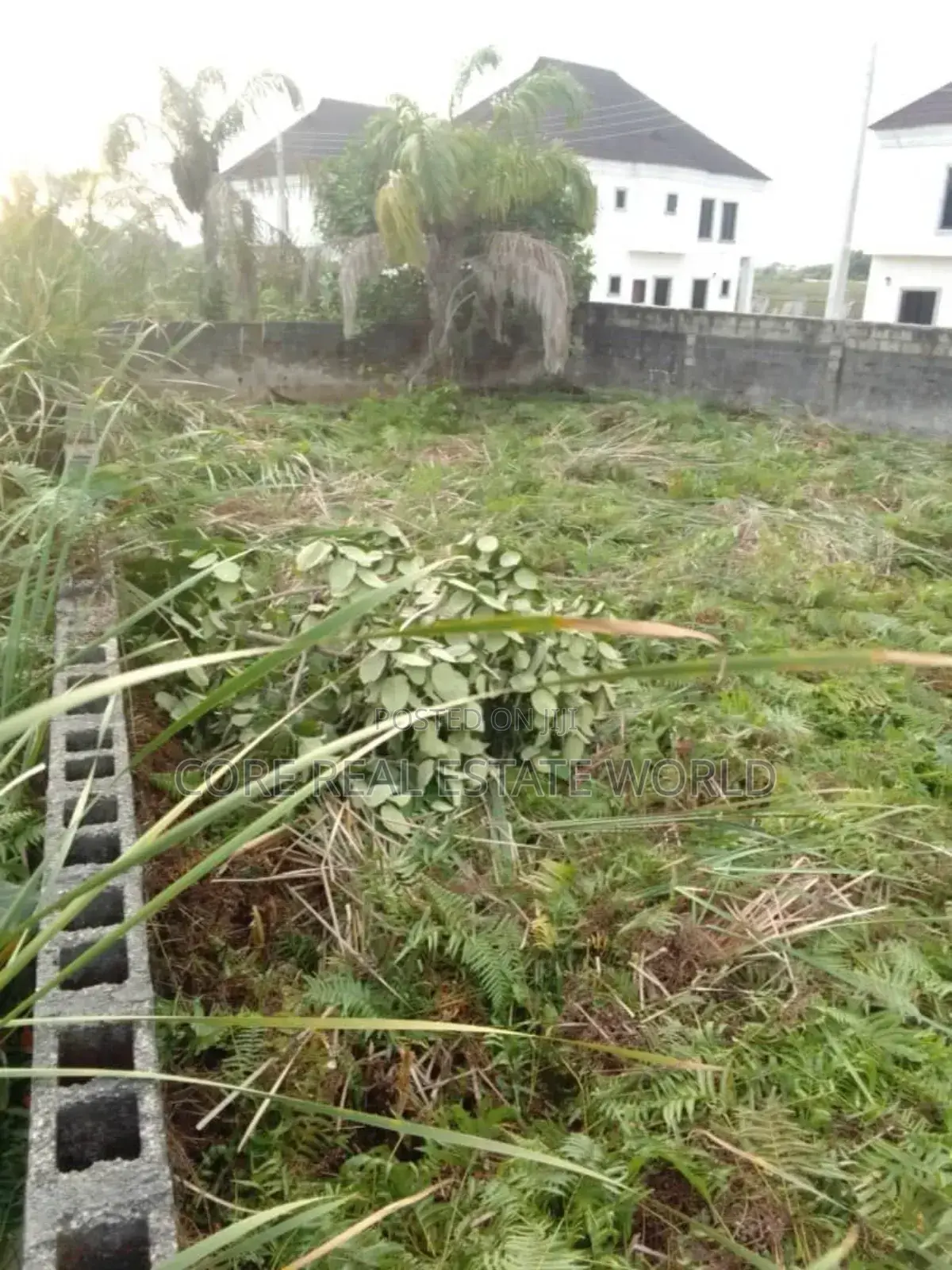 Buy And Build Land, Mgbakwu Akwa Anambra State in Awka