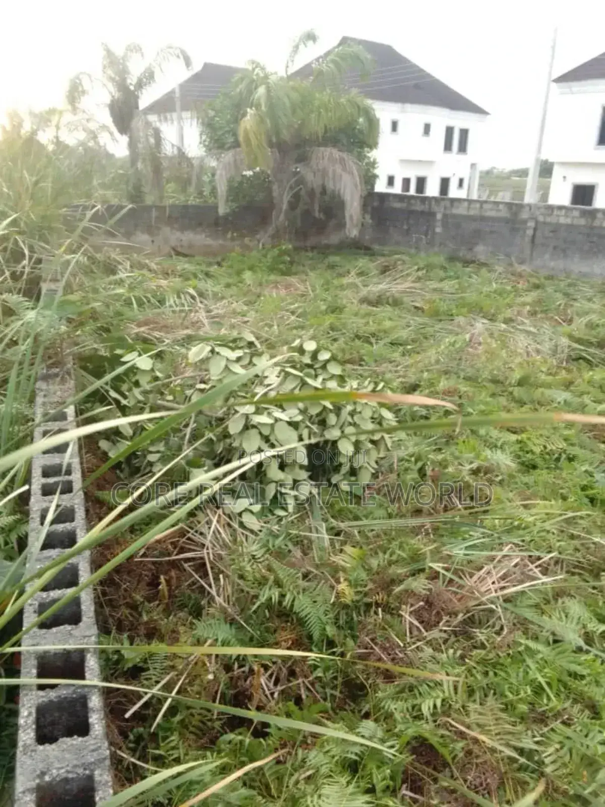 Buy And Build Land, Mgbakwu Akwa Anambra State in Awka