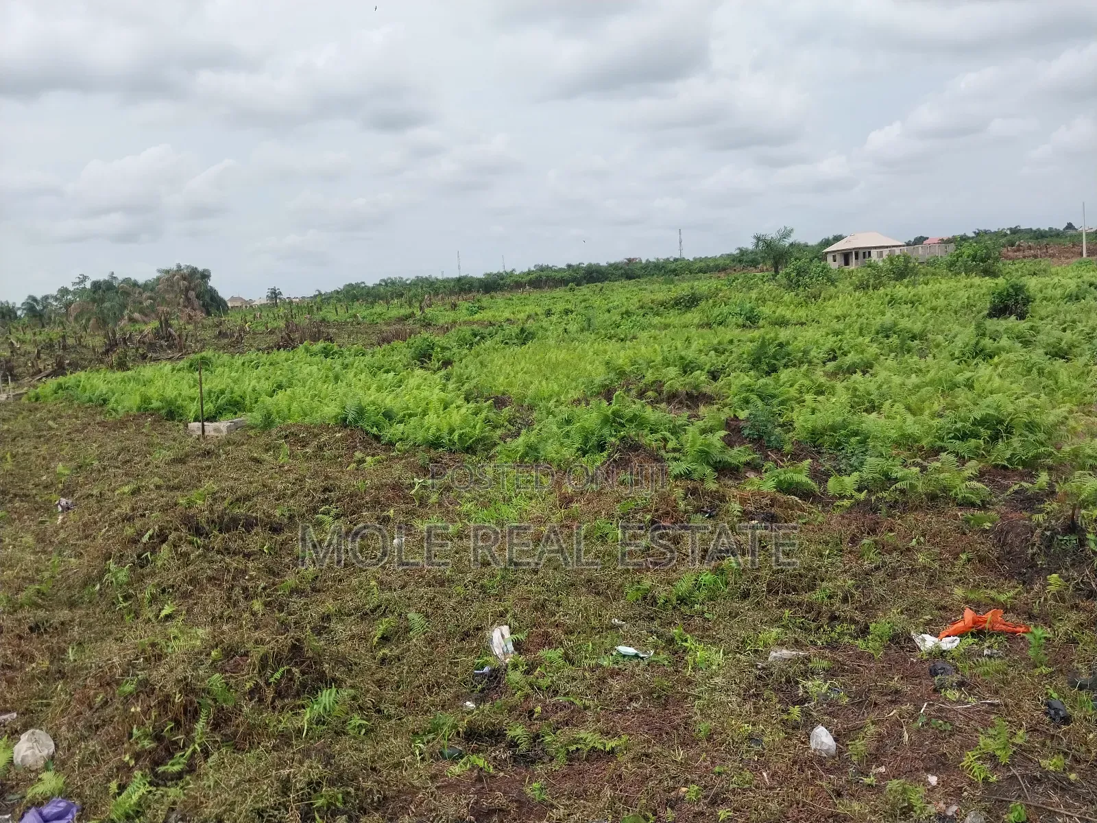 Plots of Land Ikola New Road by Ogun Bridge in Ifako-Ijaiye
