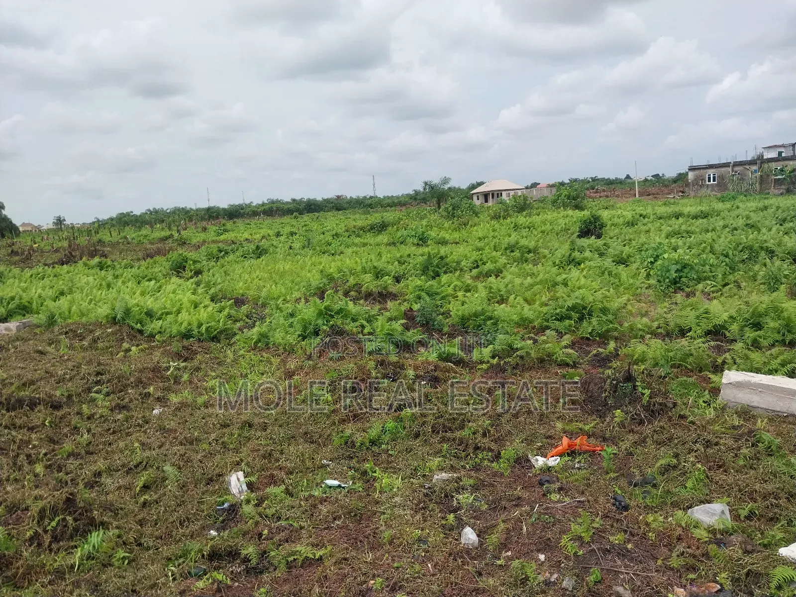 Plots of Land Ikola New Road by Ogun Bridge in Ifako-Ijaiye