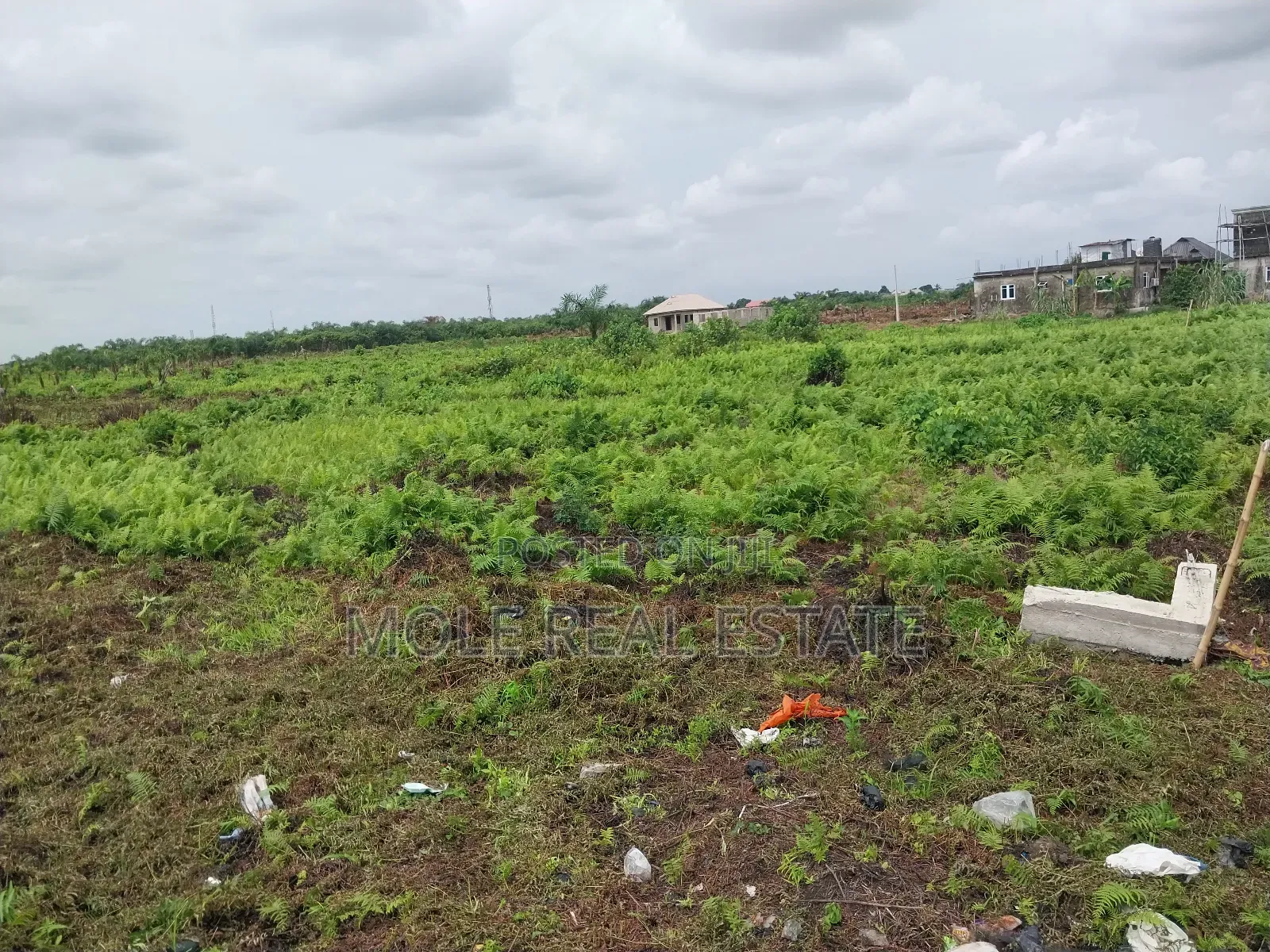 Plots of Land Ikola New Road by Ogun Bridge in Ifako-Ijaiye