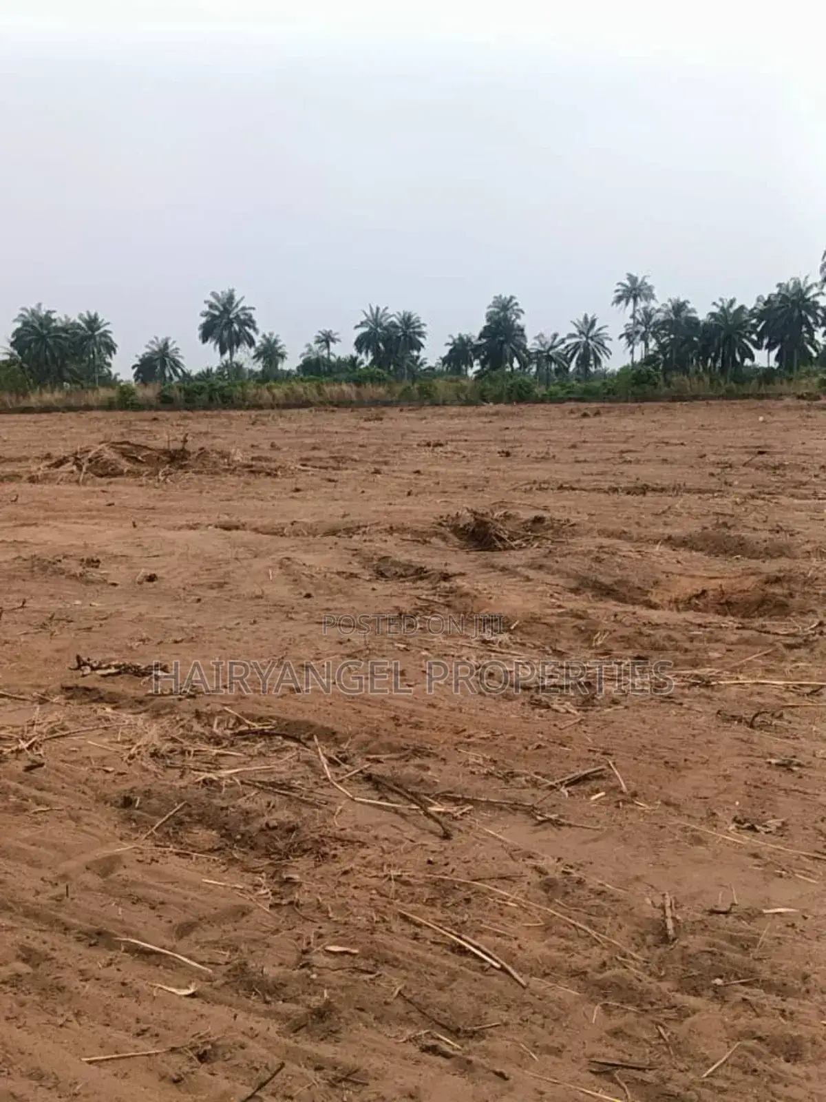 C Of O Land For Sale In Aba in Aba South