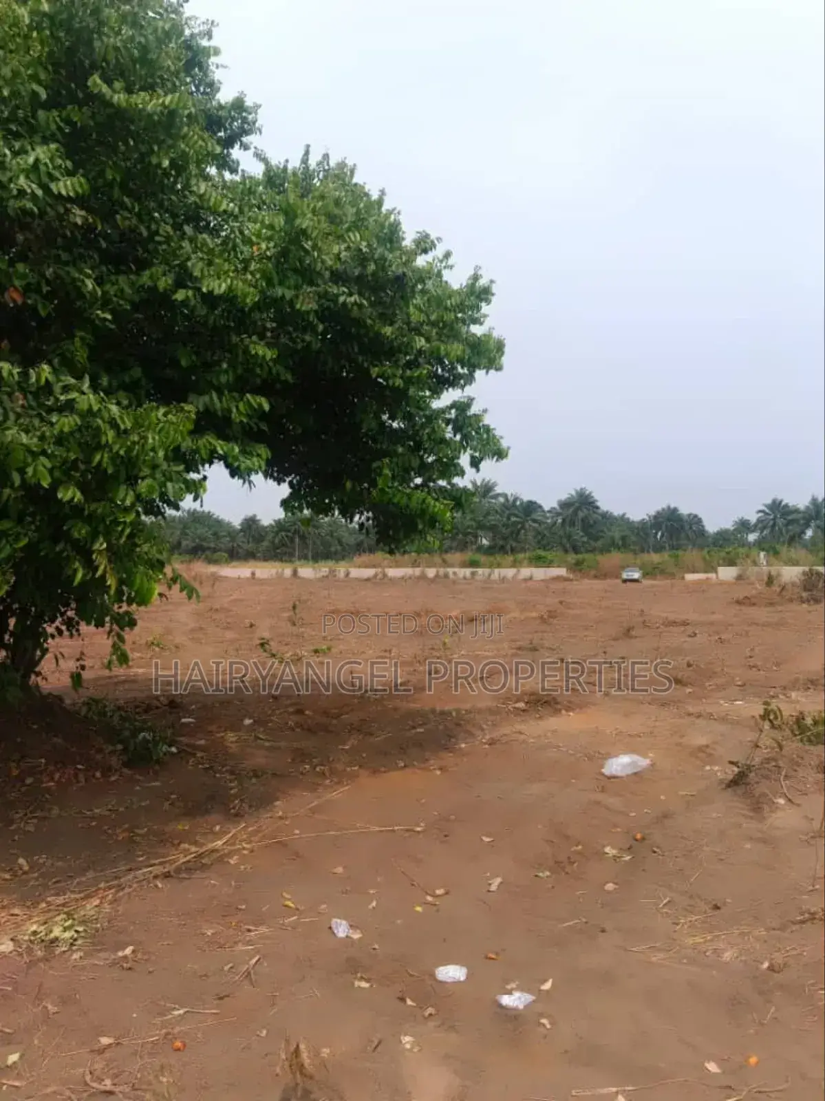 C Of O Land For Sale In Aba in Aba South