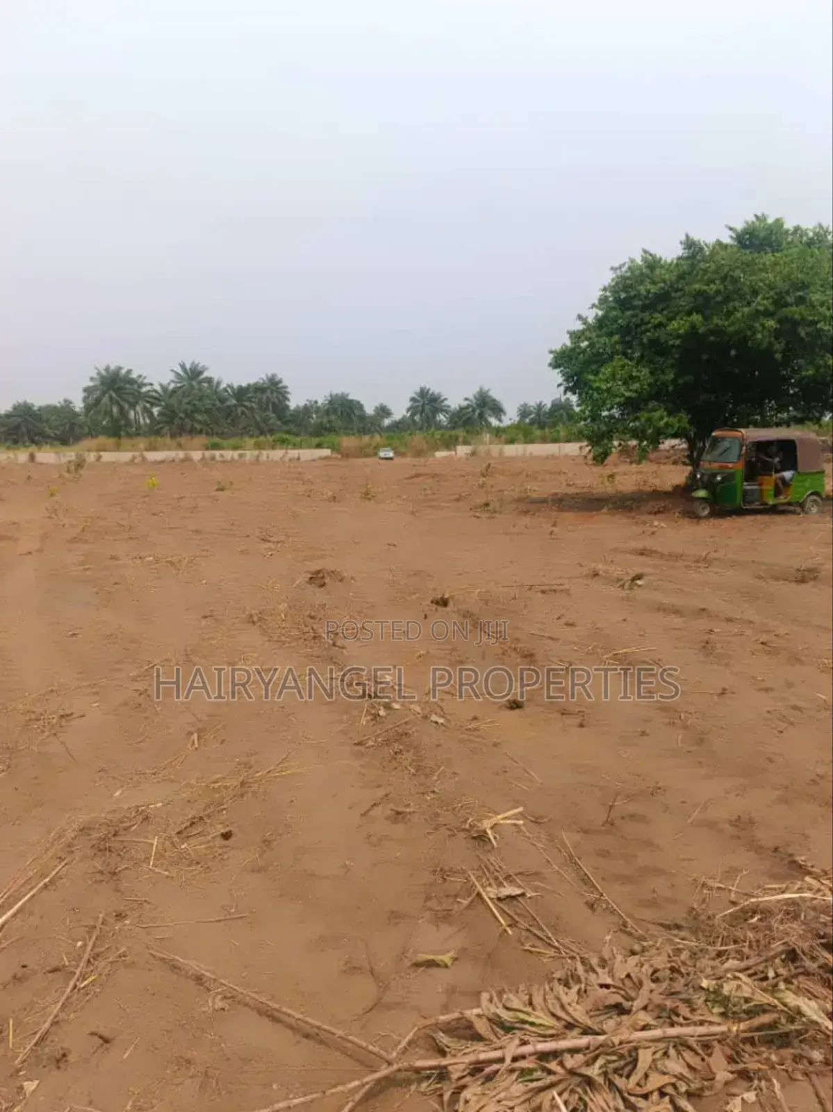 C Of O Land For Sale In Aba in Aba South