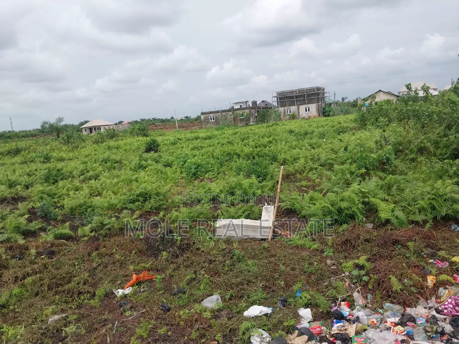 Half Plot 30ft/120ft Ijegun -Ijegemo New Expressway in Ijegun