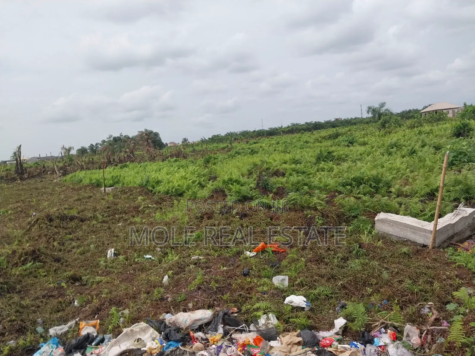 Half Plot 30ft/120ft Ijegun -Ijegemo New Expressway in Ijegun