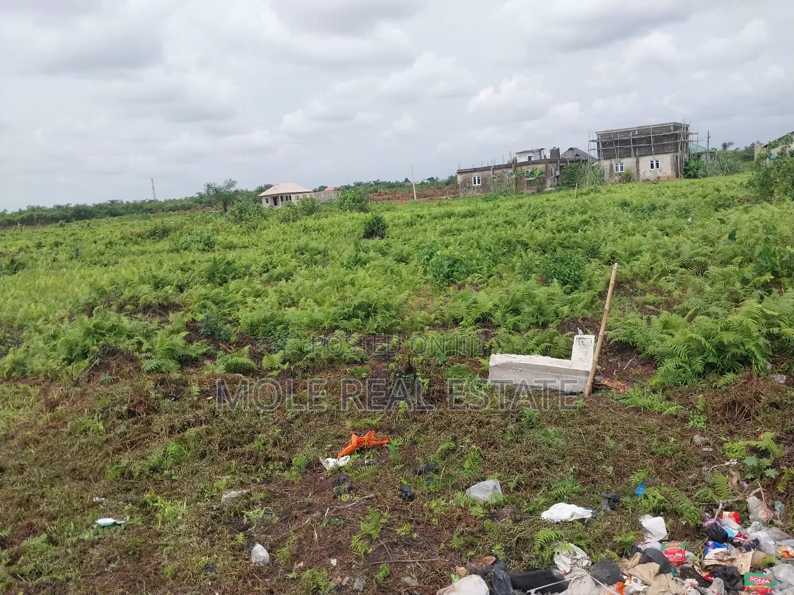 Half Plot of Land Close to the Ijegun Festac Expressway in Ijegun