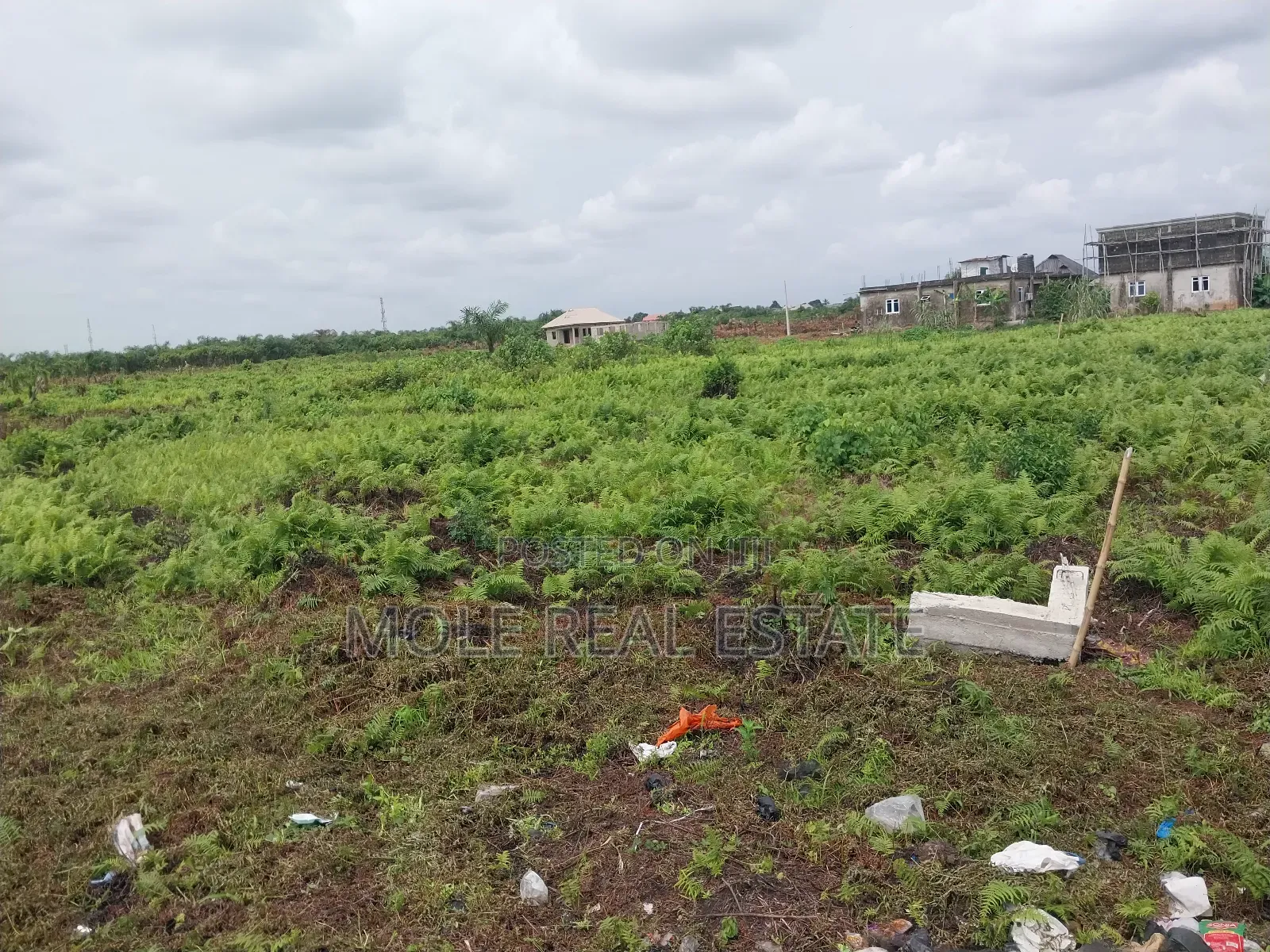 Half Plot of Land Close to the Ijegun Festac Expressway in Ijegun