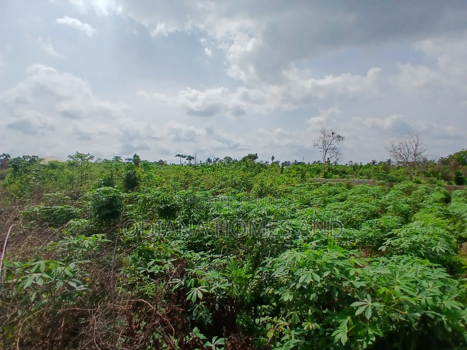 Lands for Sale at Ajorosun Housing Estate Phase 2, Ibadan. in Moniya