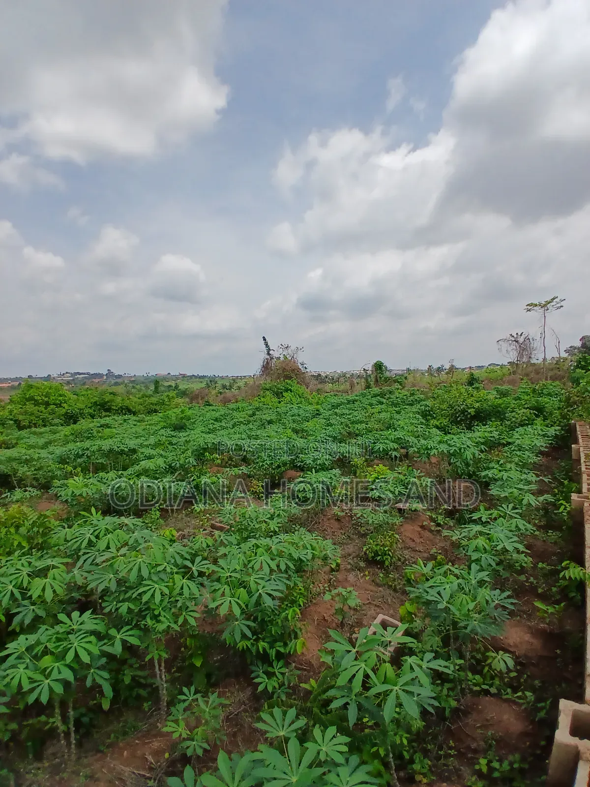 Lands for Sale at Ajorosun Housing Estate Phase 2, Ibadan. in Moniya