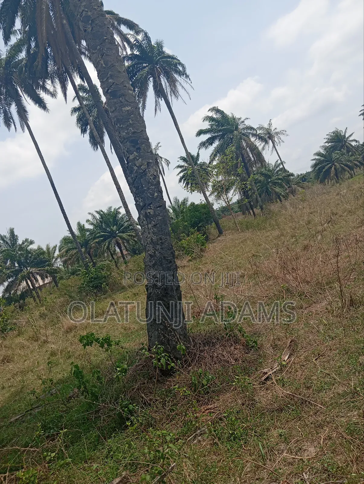 10acres of Land at Papanla Area After Alatorin in Osogbo