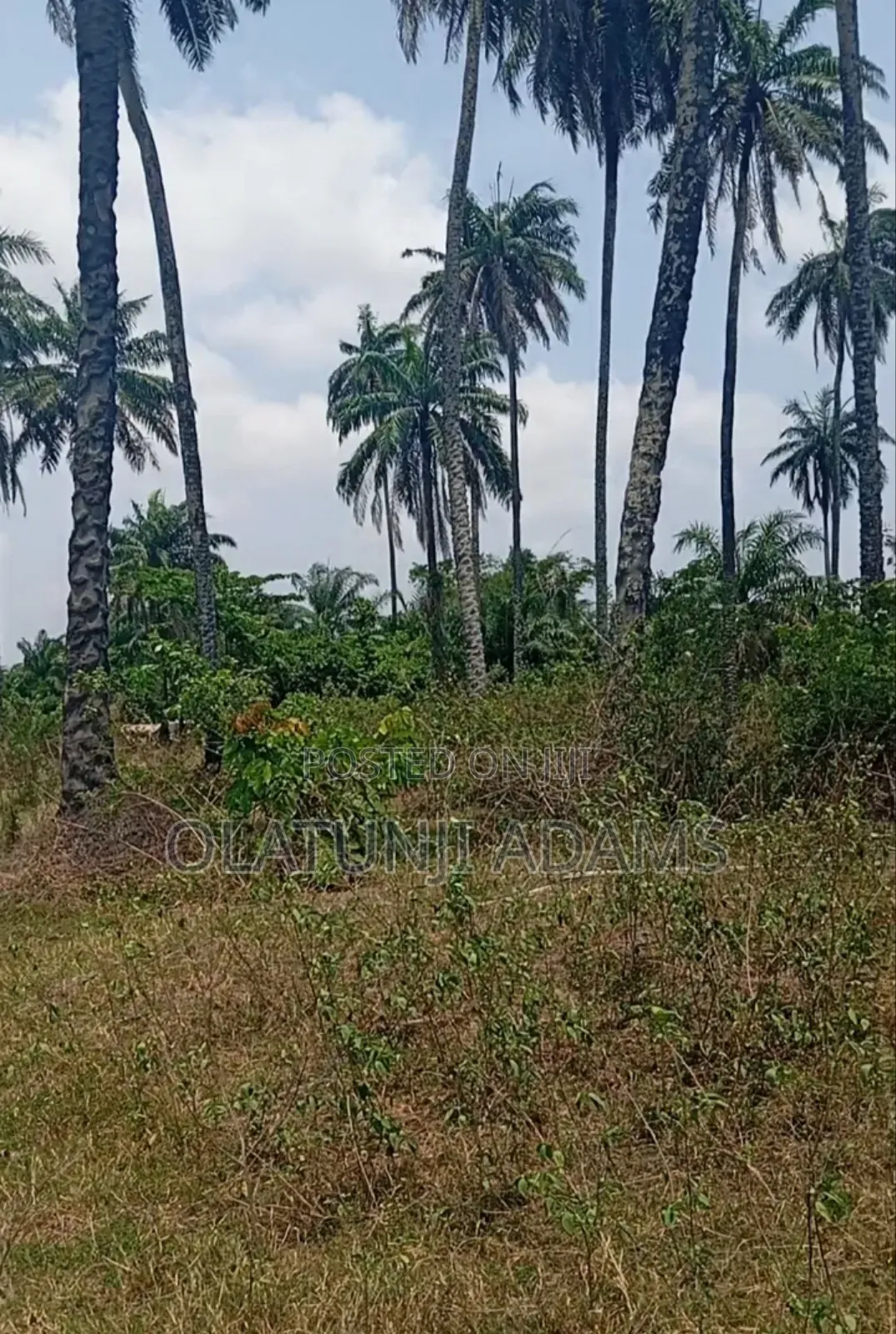10acres of Land at Papanla Area After Alatorin in Osogbo