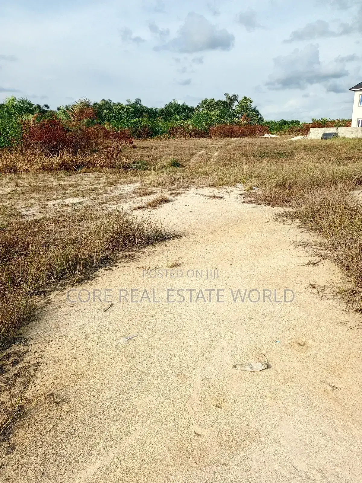 Buy and Build in Ogbeowele Quarter, Ibusa in Oshimili North in Oshimili North
