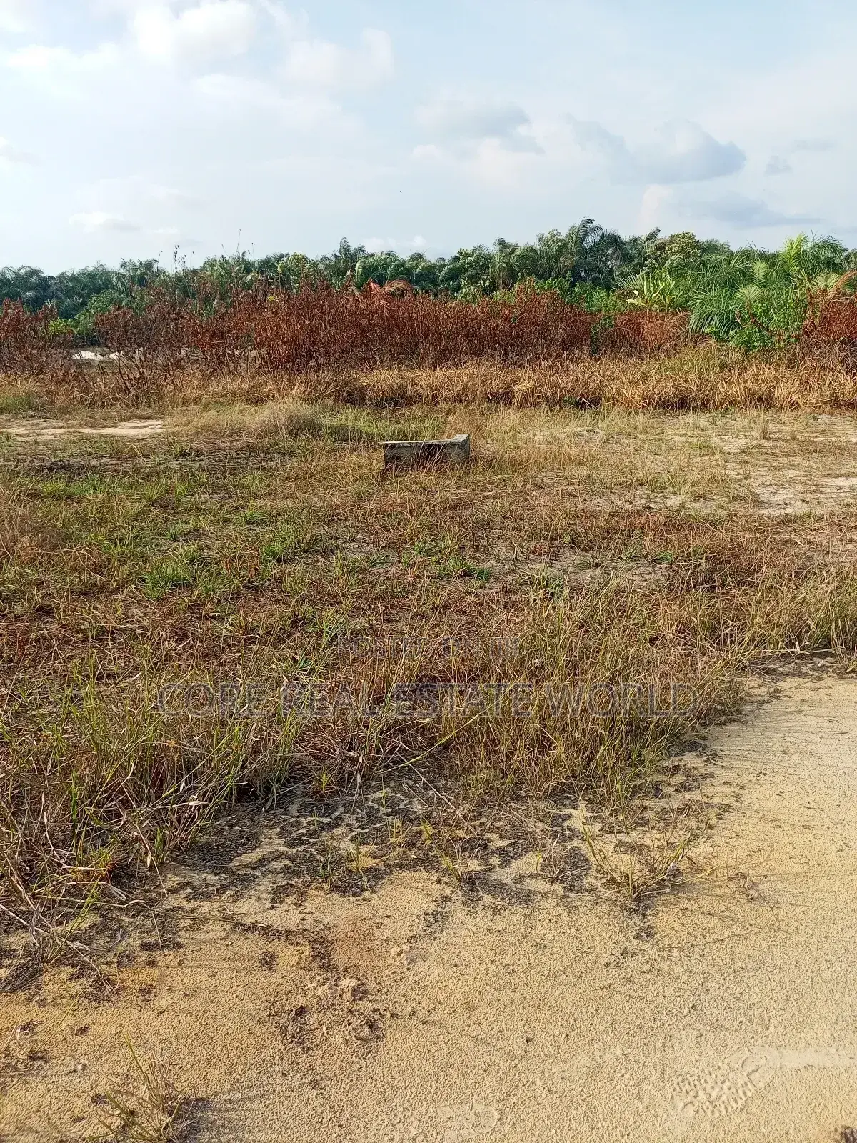 Buy and Build Land at Lodu Ibeku Umuahia in Umuahia