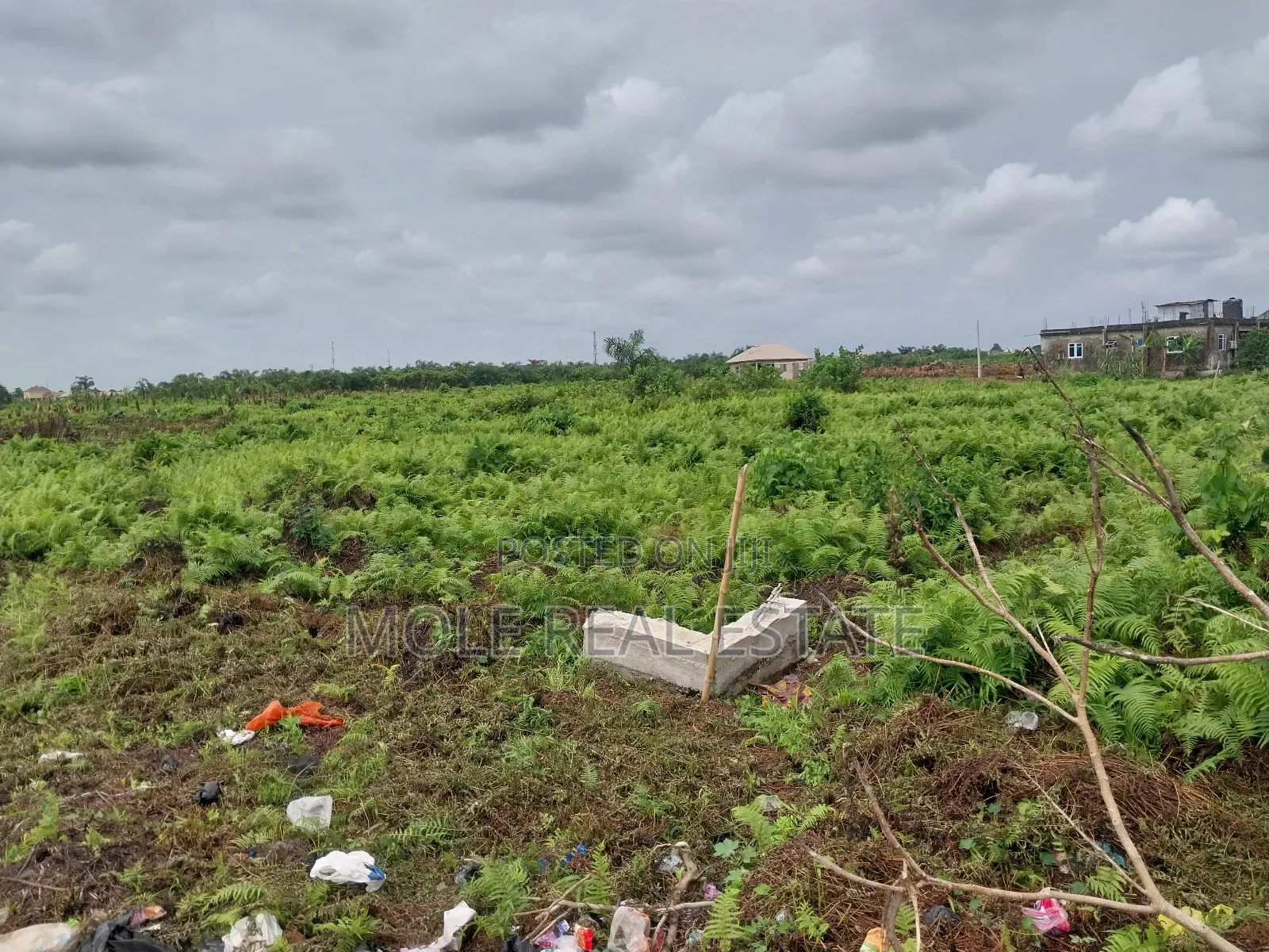 22 Plots (1.7 Hecter ) Great Roi Agege Center 4 Sale in Agege