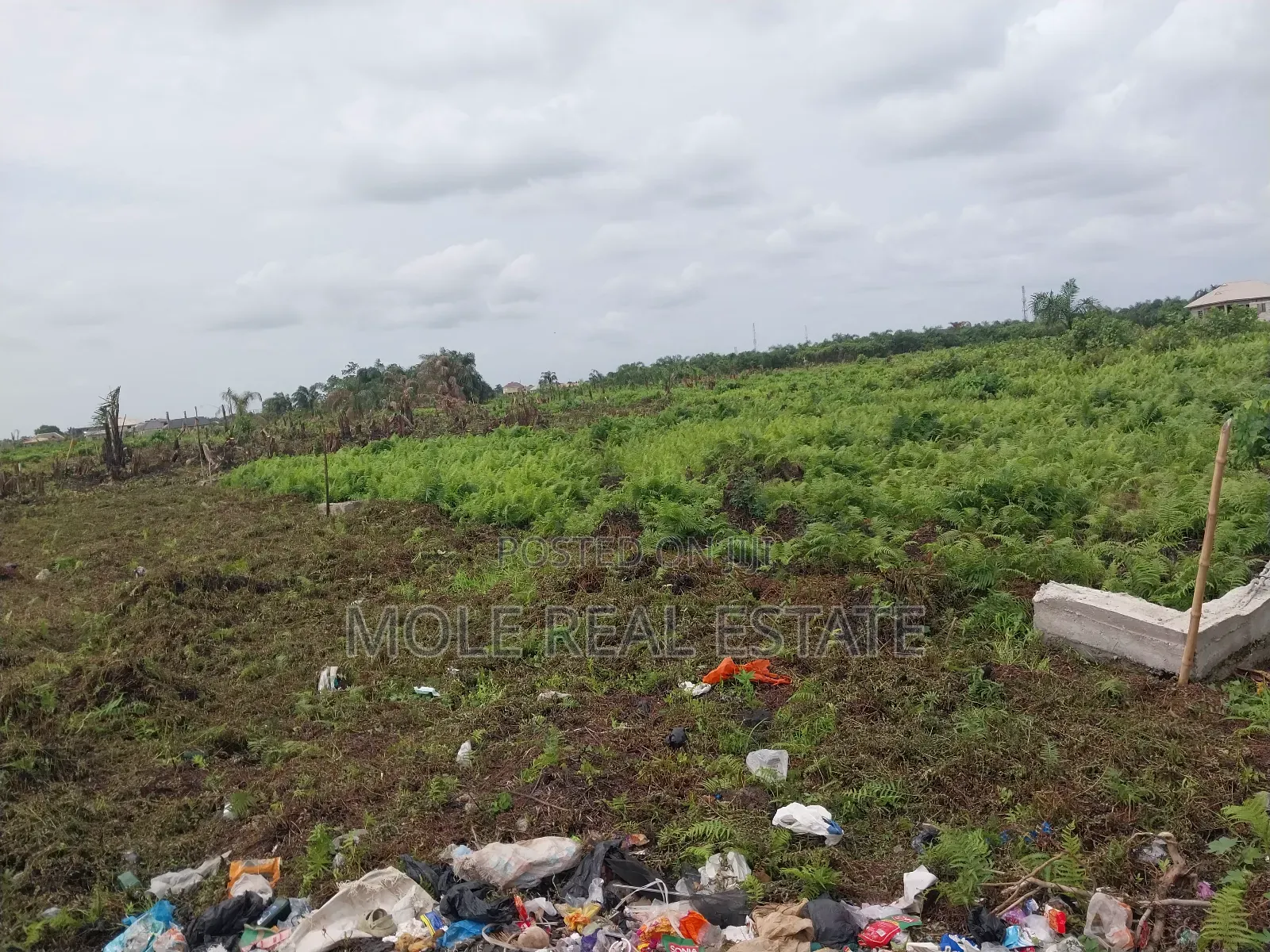 22 Plots (1.7 Hecter ) Great Roi Agege Center 4 Sale in Agege