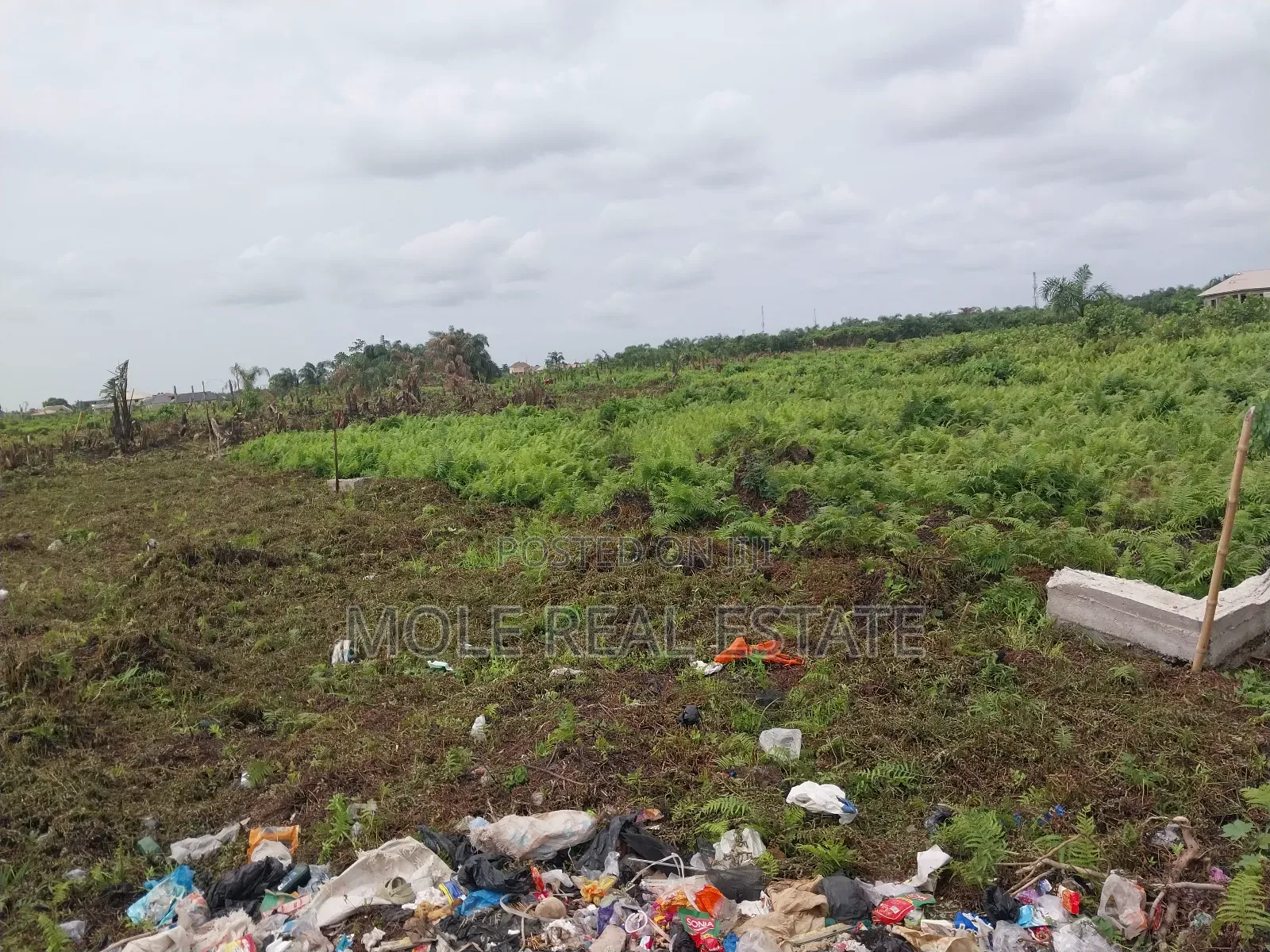 22 Plots (1.7 Hecter ) Great Roi Agege Center 4 Sale in Agege