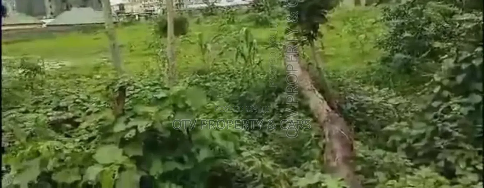 1 Acre Of Land (6 Plots)For Sale At Sabo / Yaba in Sabo / Yaba