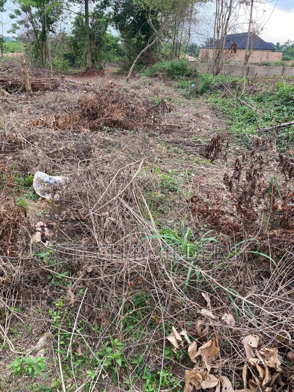 Piece of Land for Sale in Benin City