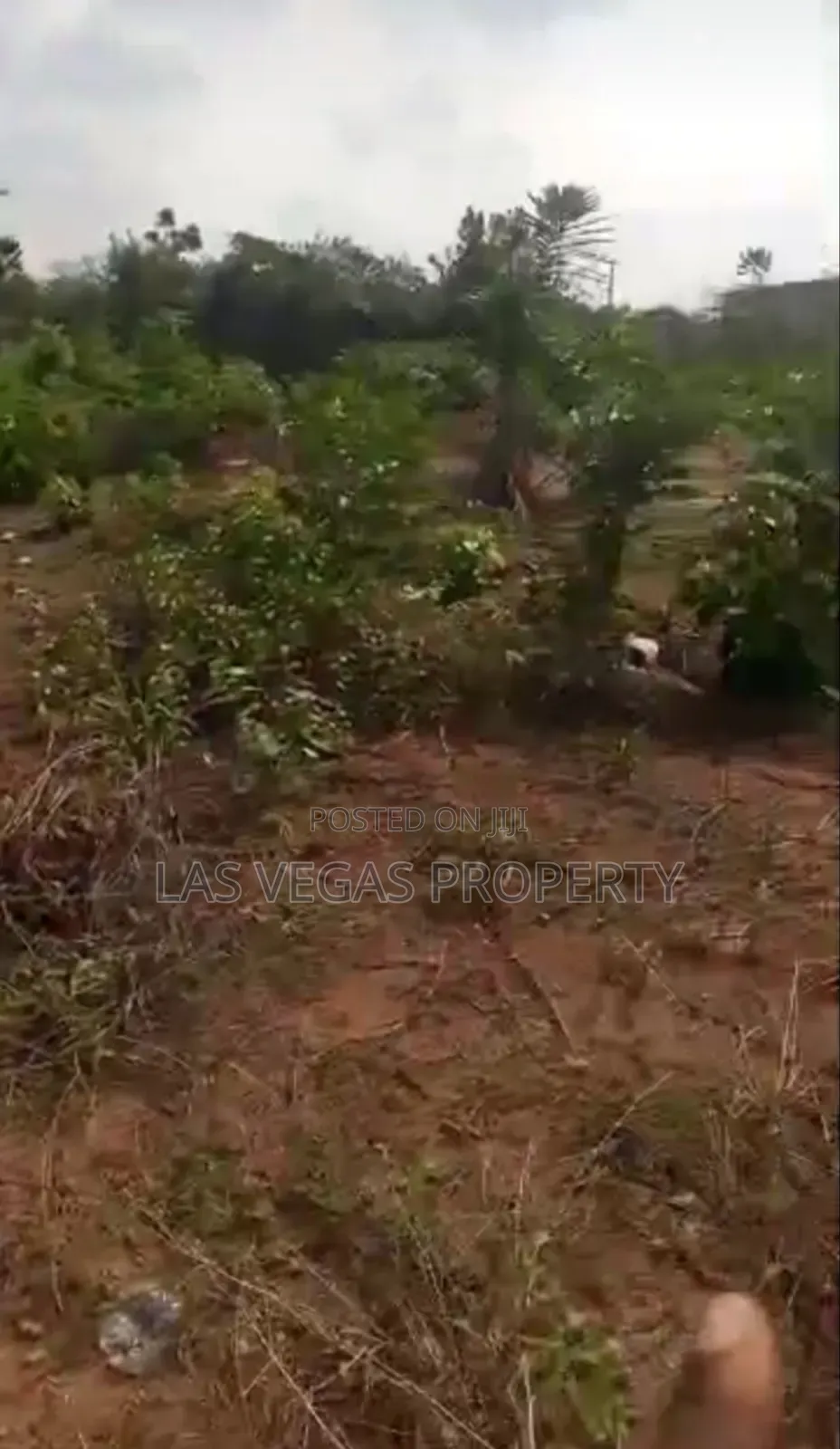 600 Square Meters of Land at Amakohia Pocket Layout for Sale in Owerri