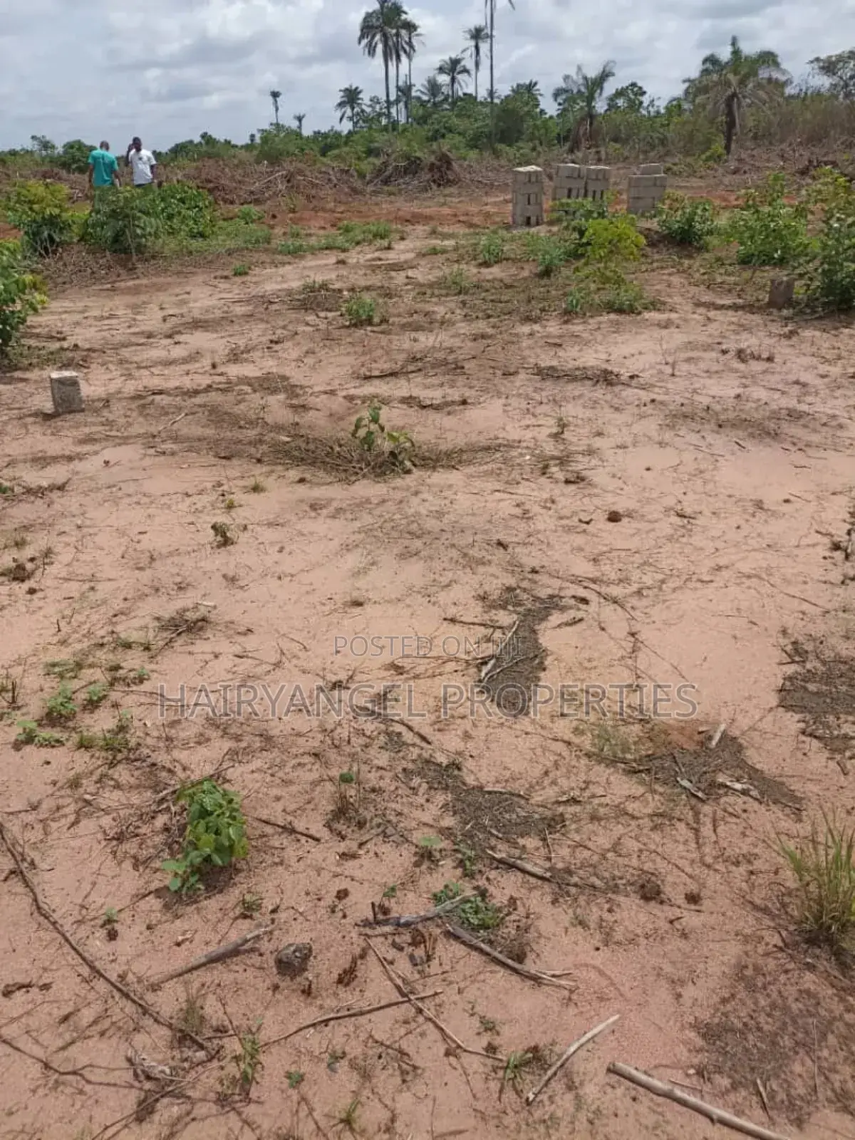 Land for Sale in Ogbaku Owerri (Instant Allocation) in Owerri