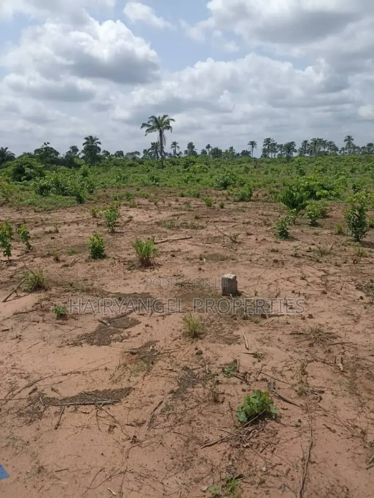 Land for Sale in Ogbaku Owerri (Instant Allocation) in Owerri