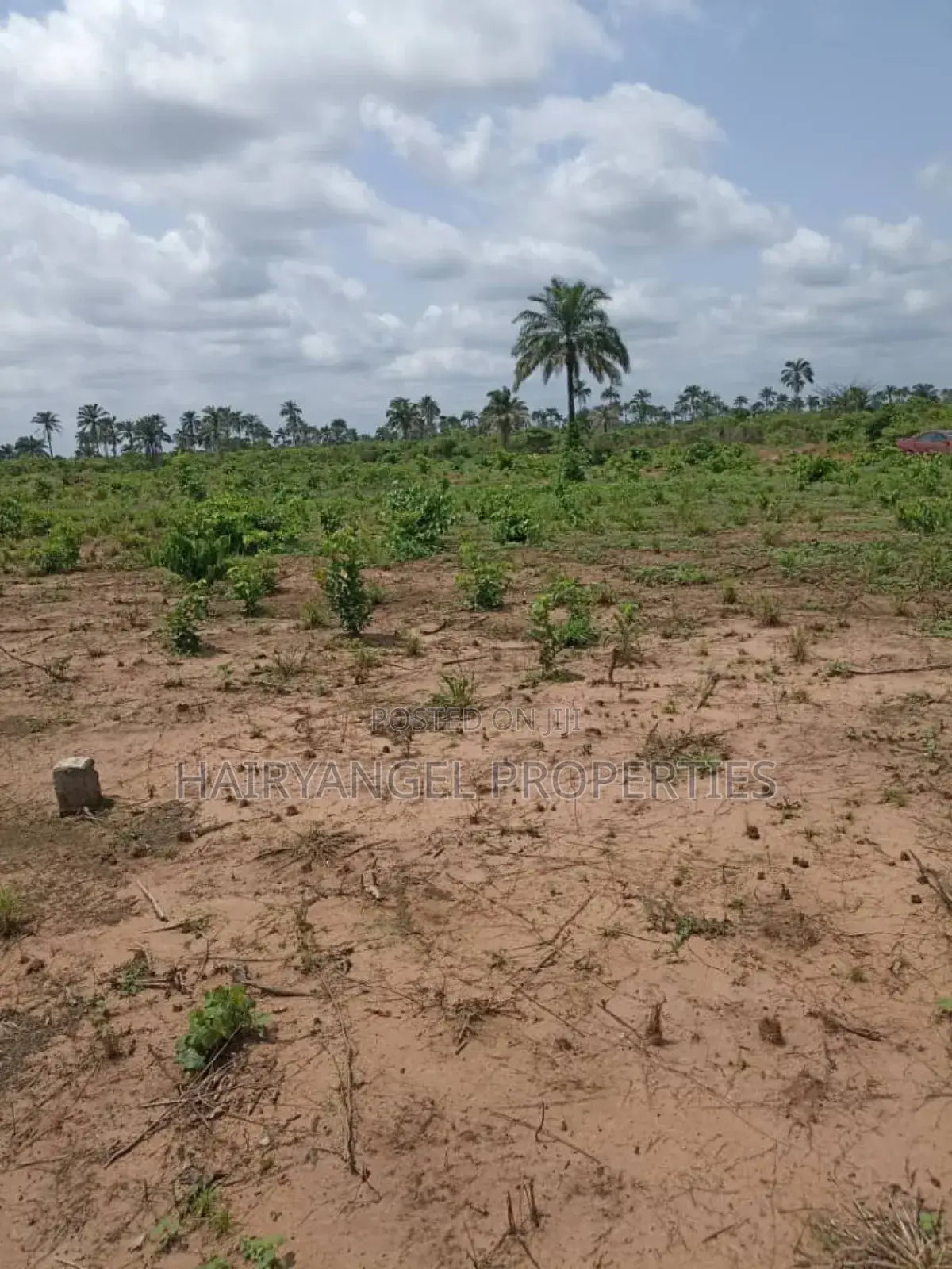 Land for Sale in Ogbaku Owerri (Instant Allocation) in Owerri