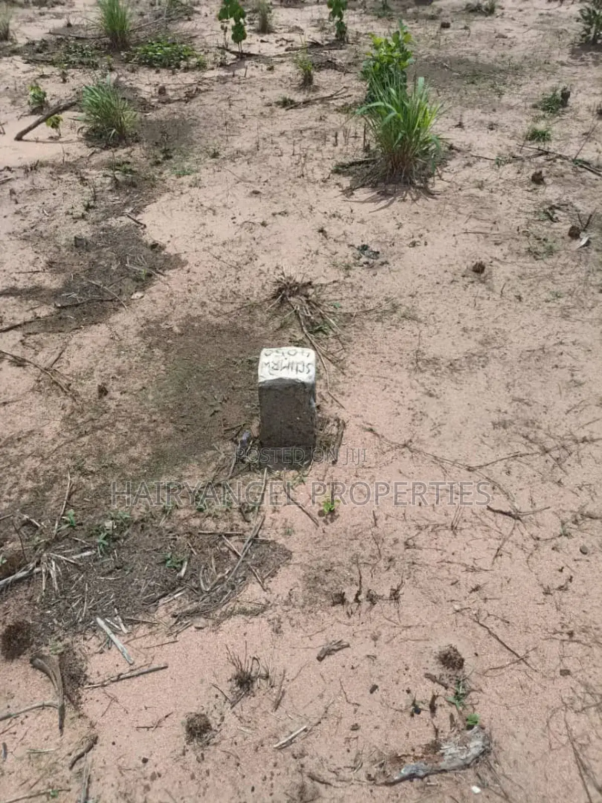 Land for Sale in Ogbaku Owerri (Instant Allocation) in Owerri