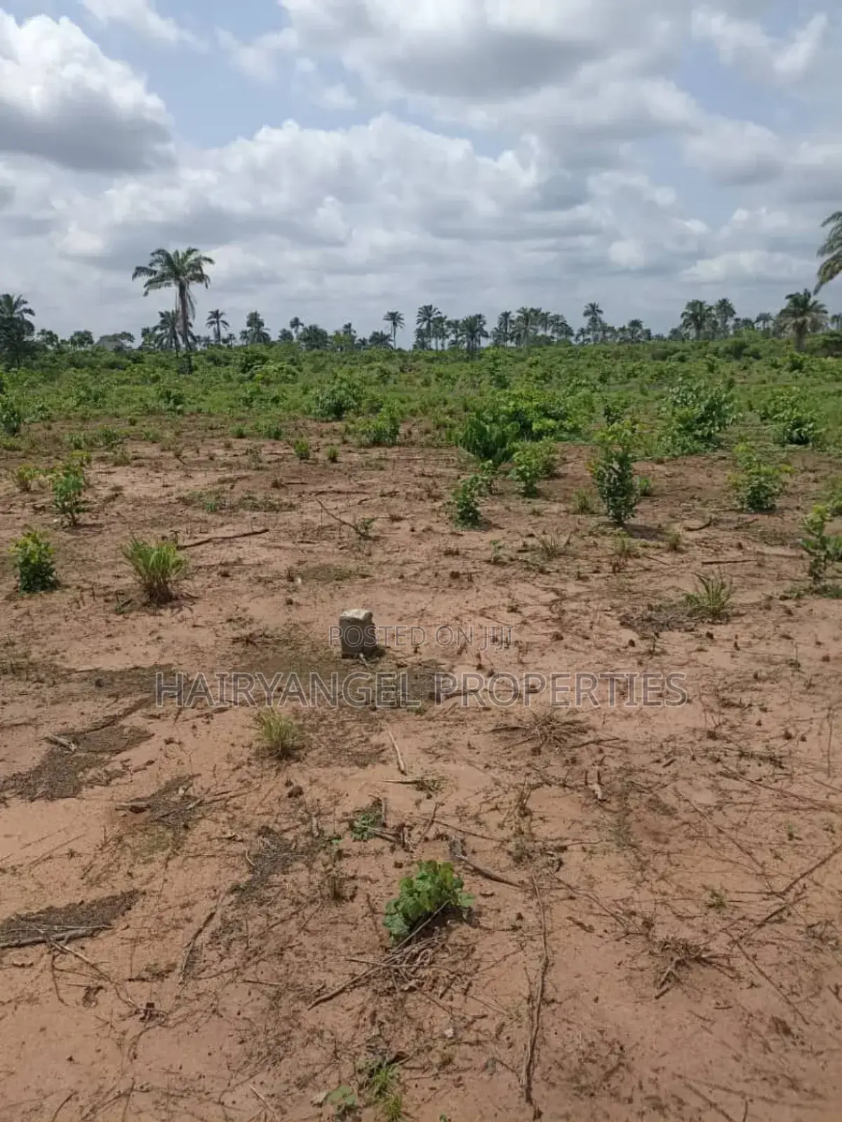 Land for Sale in Ogbaku Owerri (Instant Allocation) in Owerri