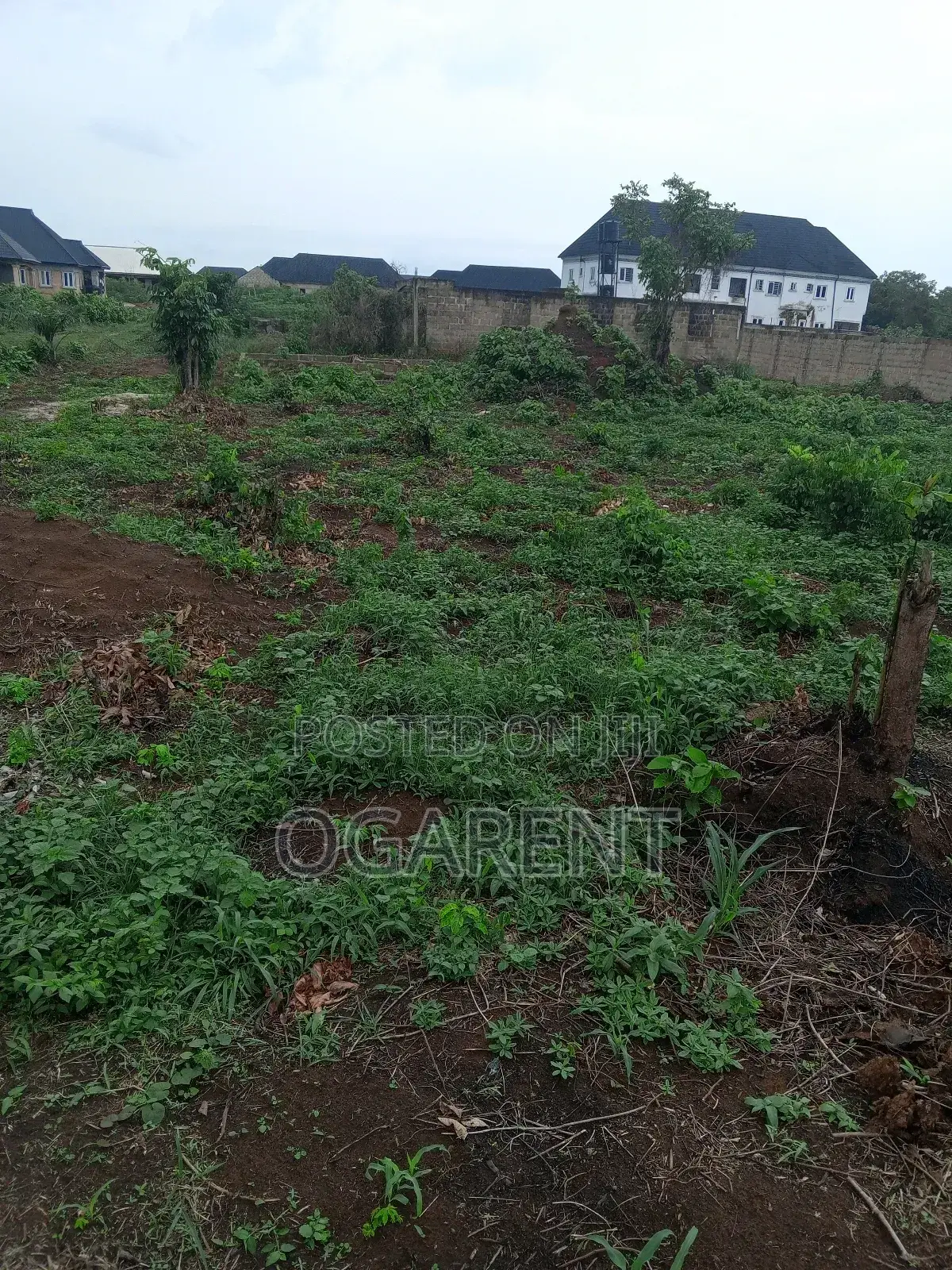 50 by 100 for Sale at Peanut Road/Ewomama in Benin City
