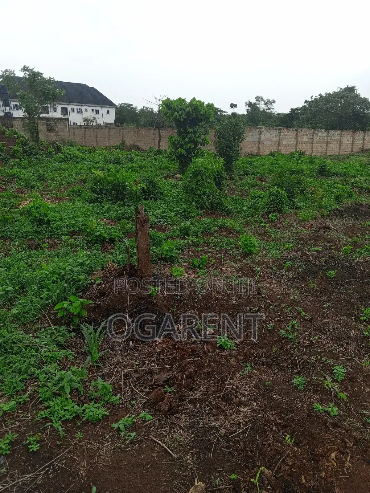 50 by 100 for Sale at Peanut Road/Ewomama in Benin City