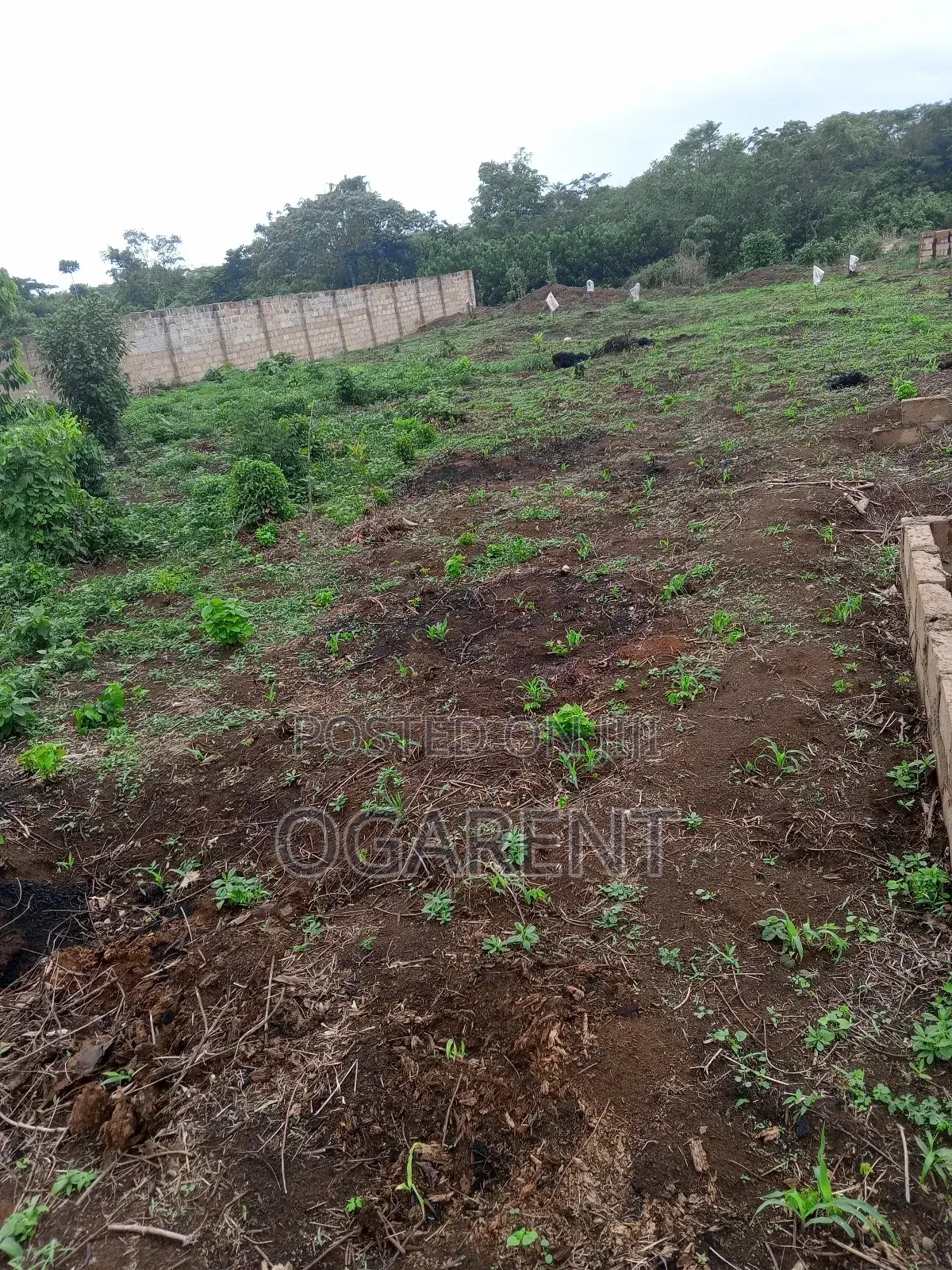 50 by 100 for Sale at Peanut Road/Ewomama in Benin City