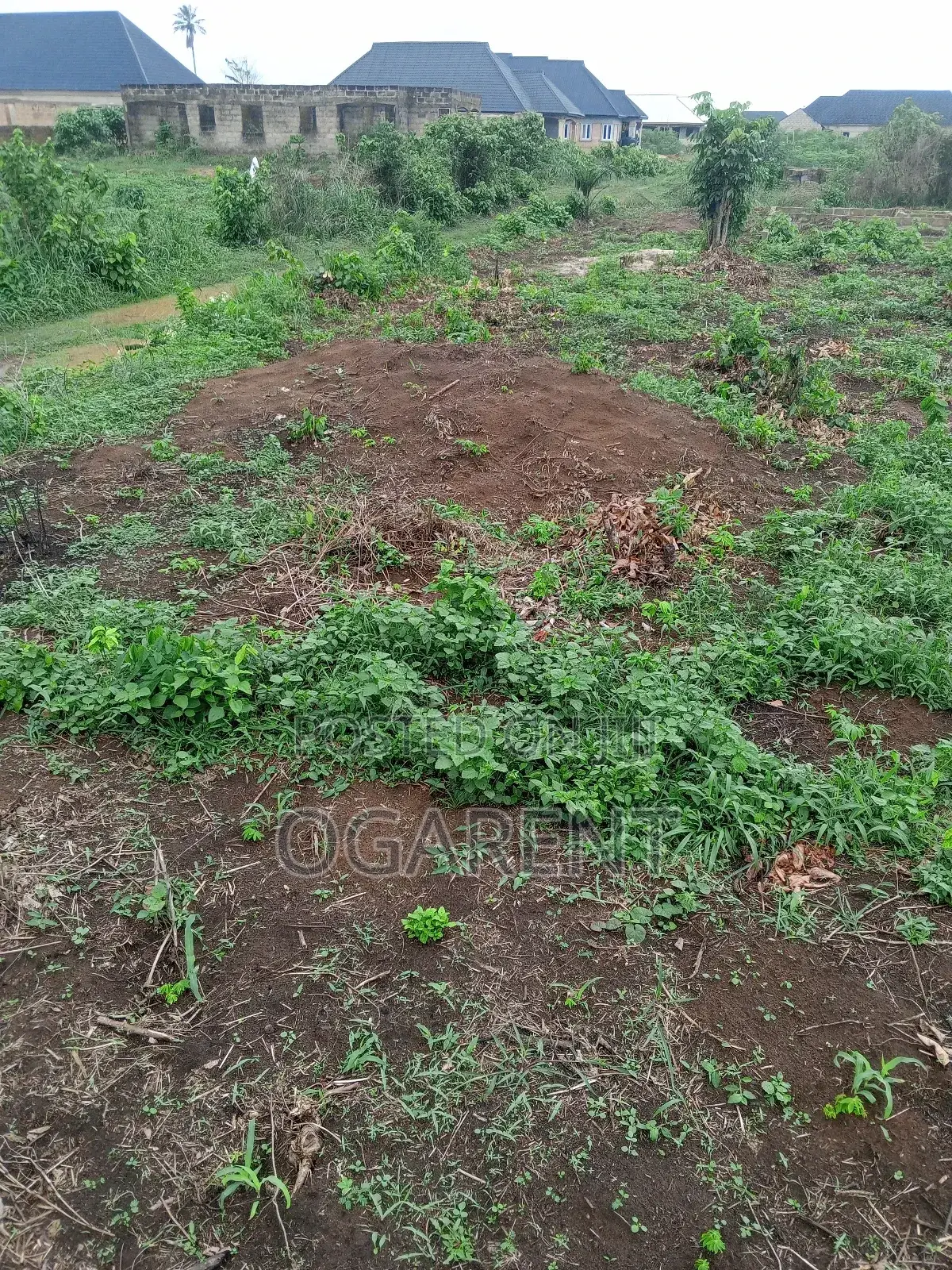 50 by 100 for Sale at Peanut Road/Ewomama in Benin City