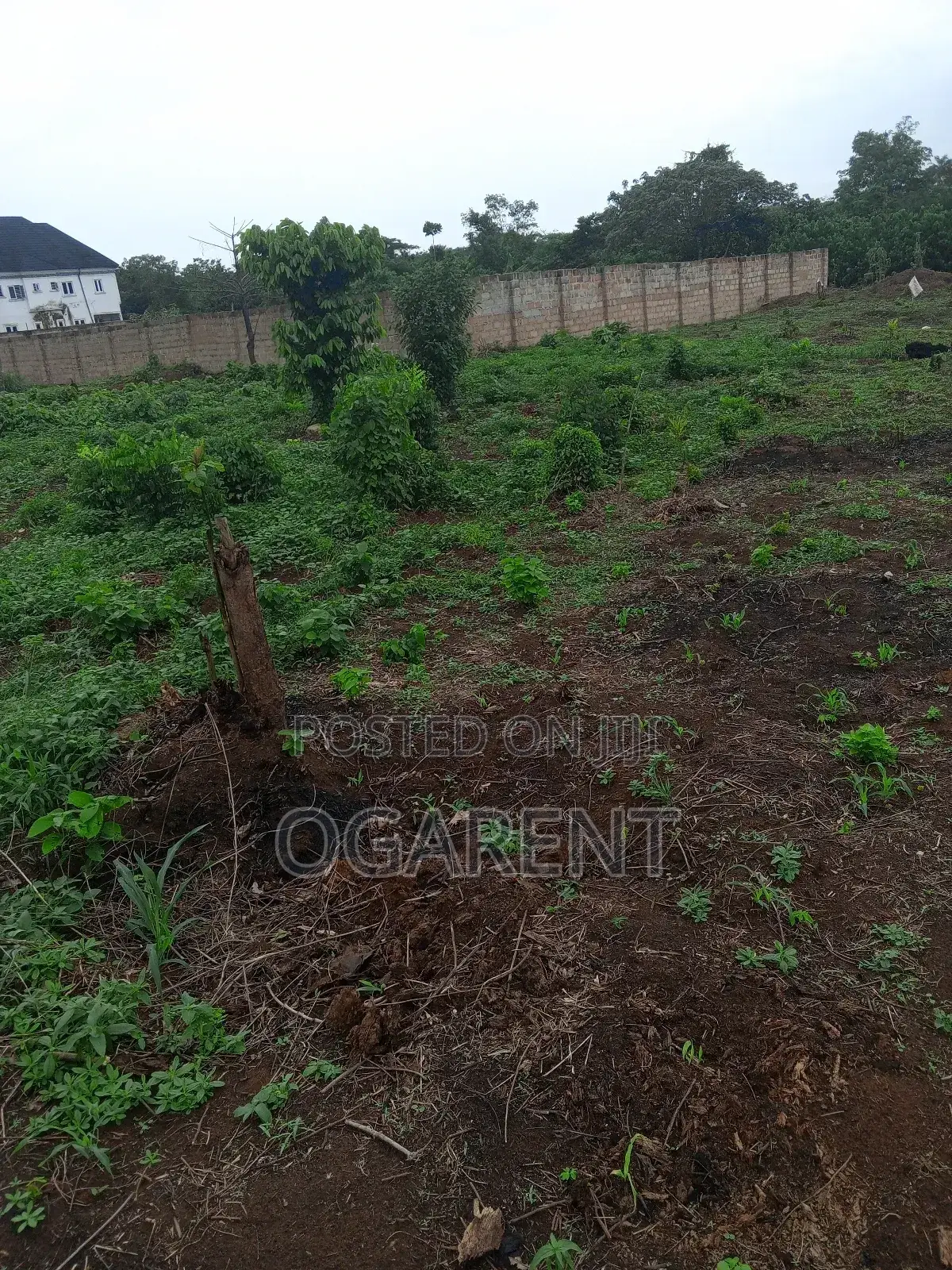 50 by 100 for Sale at Peanut Road/Ewomama in Benin City
