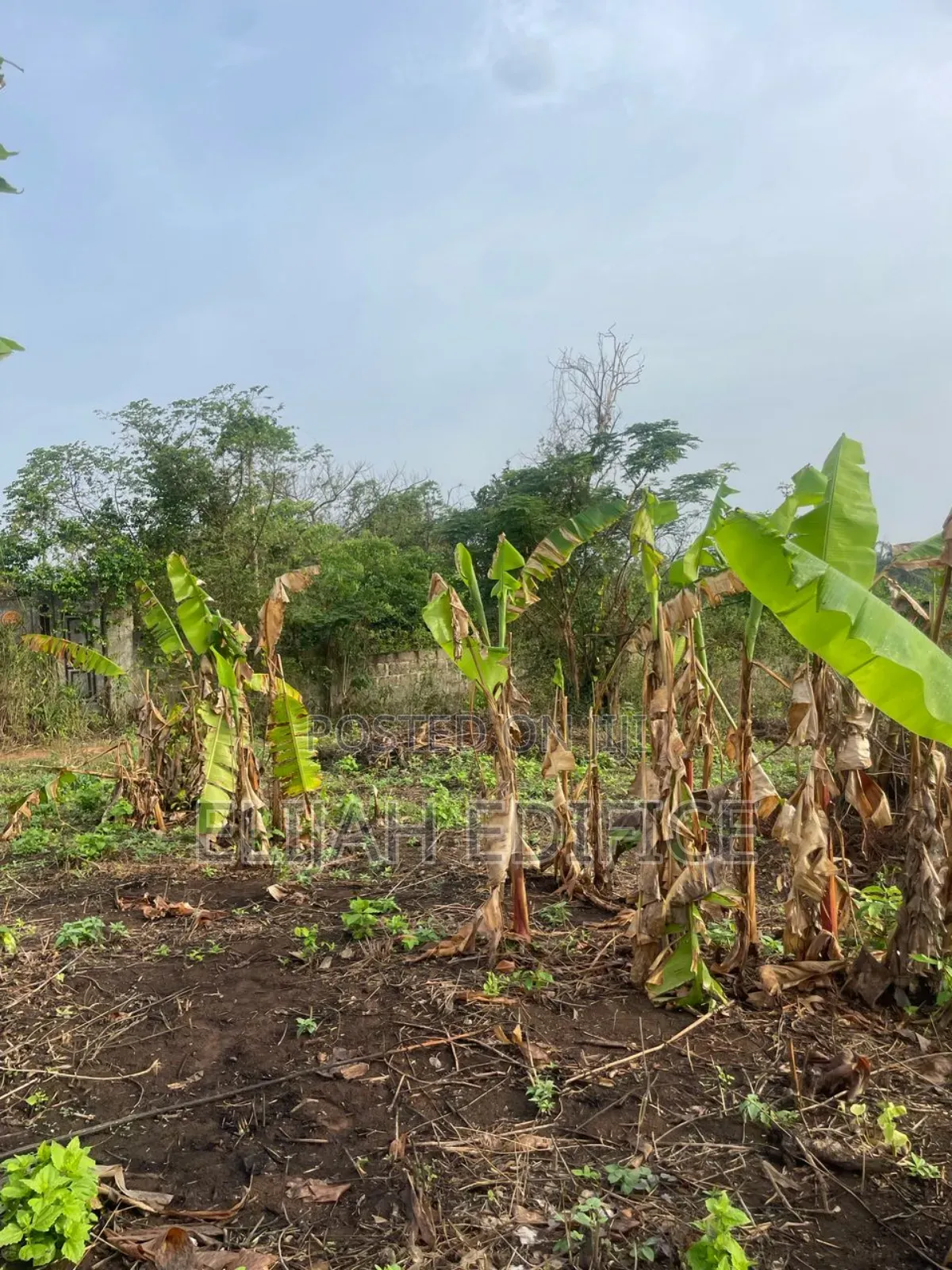 Full Plot of Land at Isiu, Ikorodu Close to Caleb University in Isiu