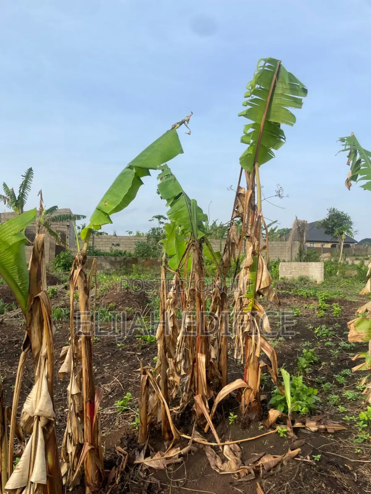 Facing Road Full Plot of Land for Sale at Agbowa, Ikorodu. in Agbowa