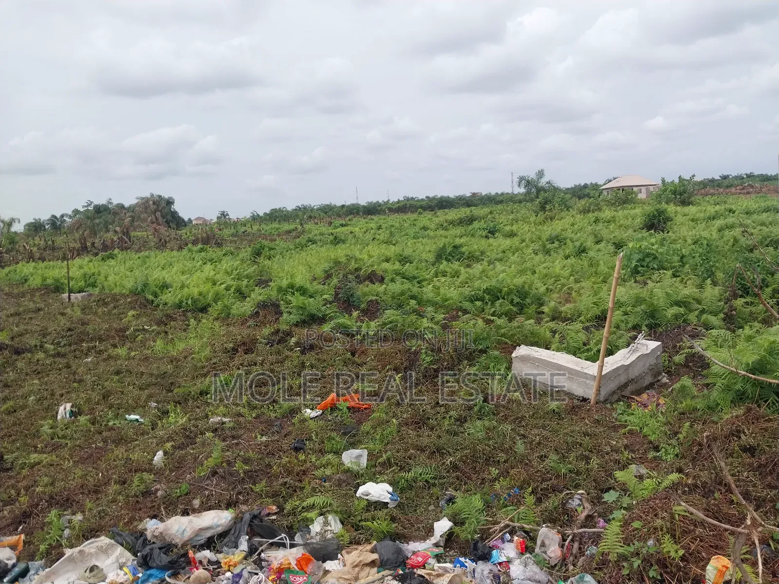 Verified Plots Ijegun 10% Instalment Close to New Expressway in Ijegun
