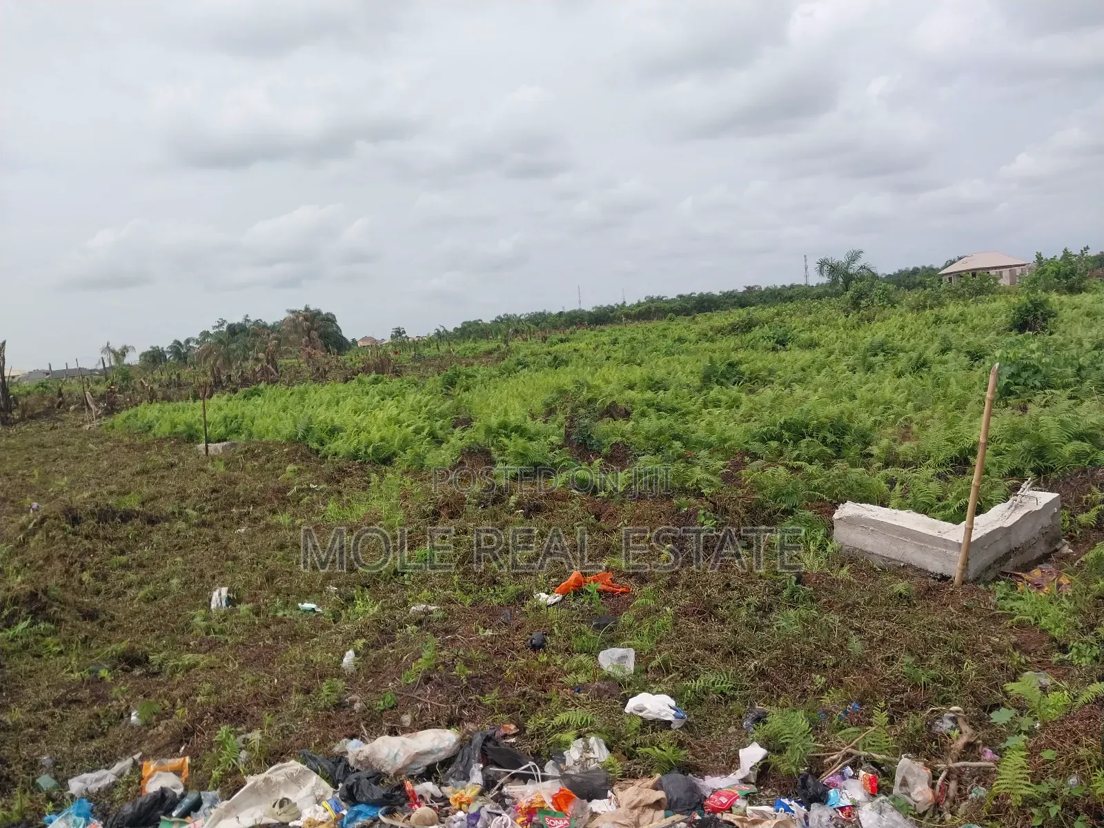 Verified Plots Ijegun 10% Instalment Close to New Expressway in Ijegun
