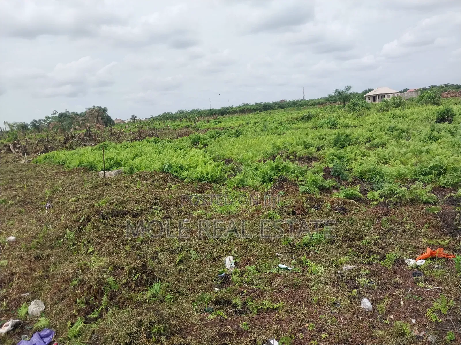Virgin Plots Ijegun Selling 20% Only Initial Deposil in Ijegun
