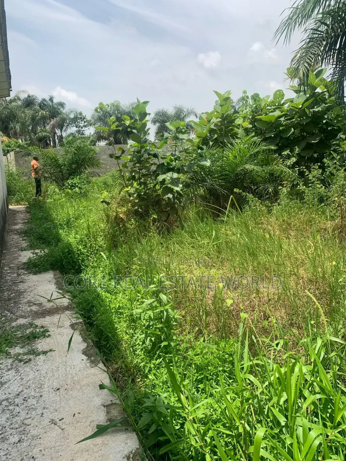 Land for Sale in Ogua Community Benin City in Benin City