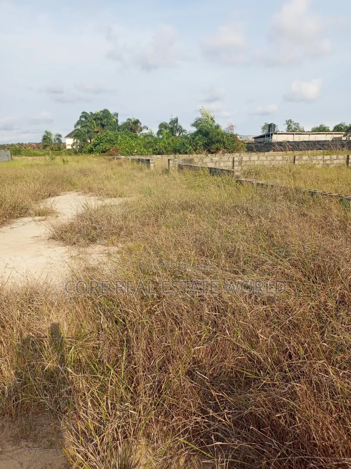 Land for Sale in Ogua Community Benin City in Benin City