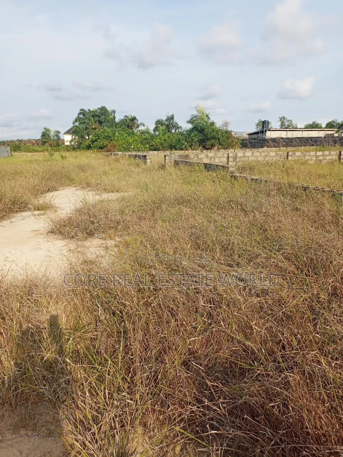 Land for Sale in Ogua Community Benin City in Benin City