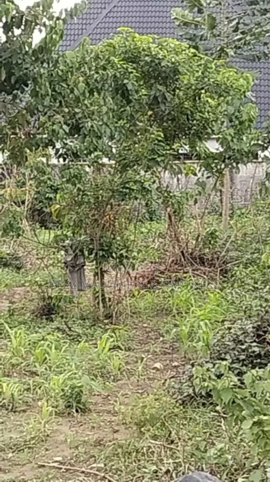 For Sale: 51⁄2 Plots Eneka Link Rd Ph in Port-Harcourt