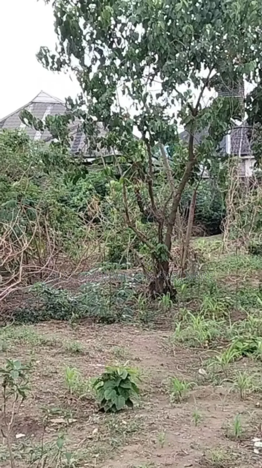 For Sale: 51⁄2 Plots Eneka Link Rd Ph in Port-Harcourt