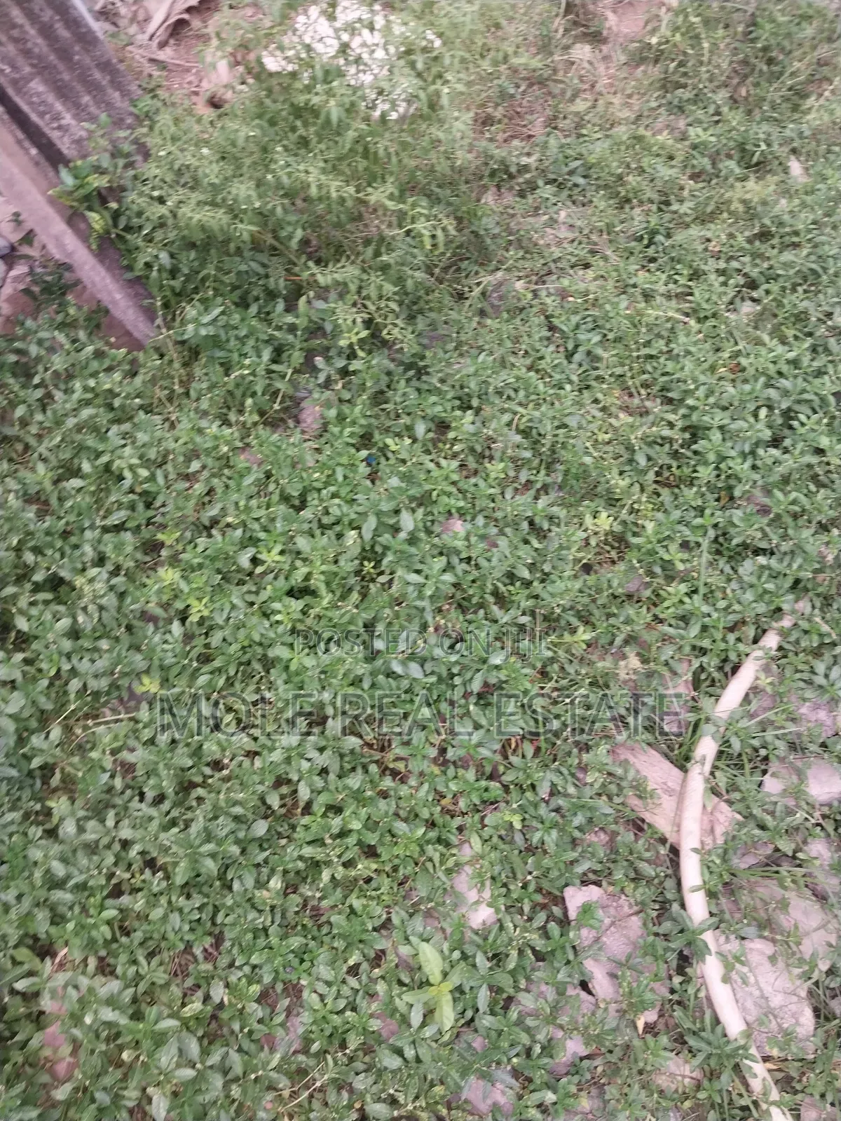 Full Plot Ijegun New Rd 10% Initial Instalmental Payment in Ijegun