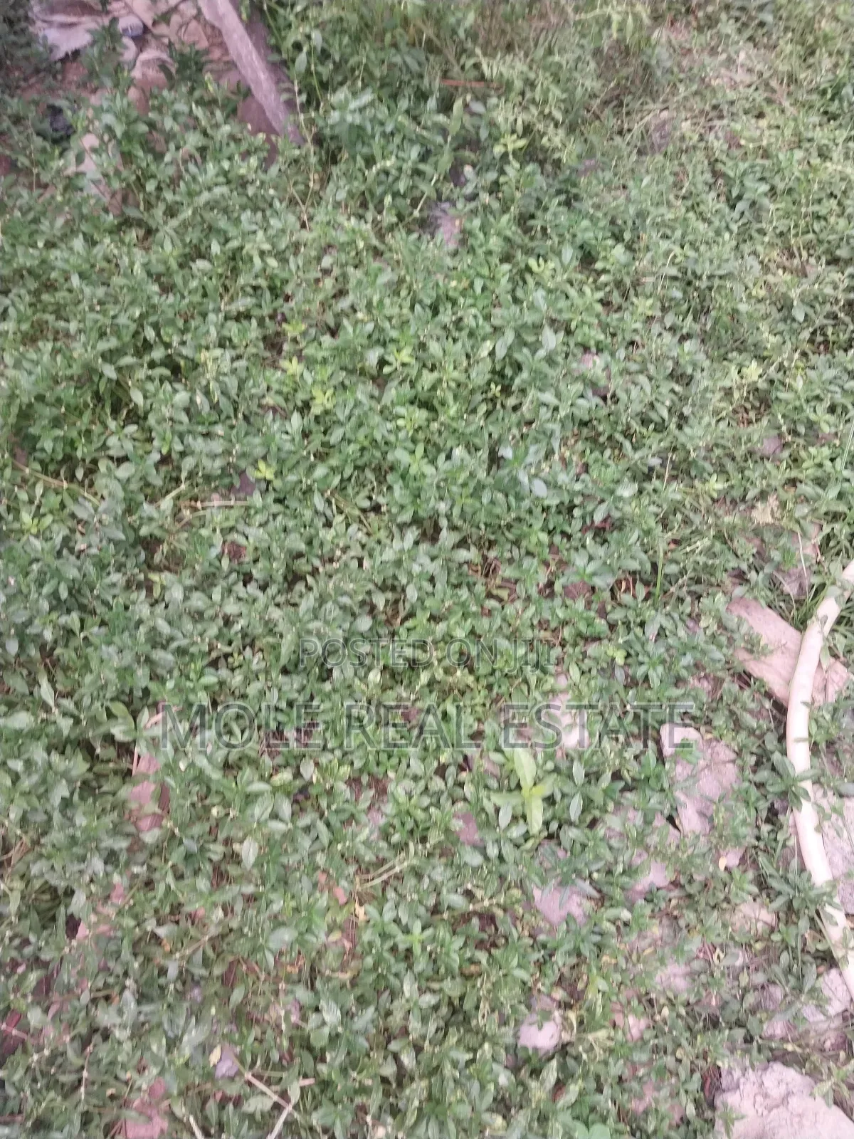 Half 50f/50ft Ijegun Rd 10% Initial Deposit Instalmental in Ijegun